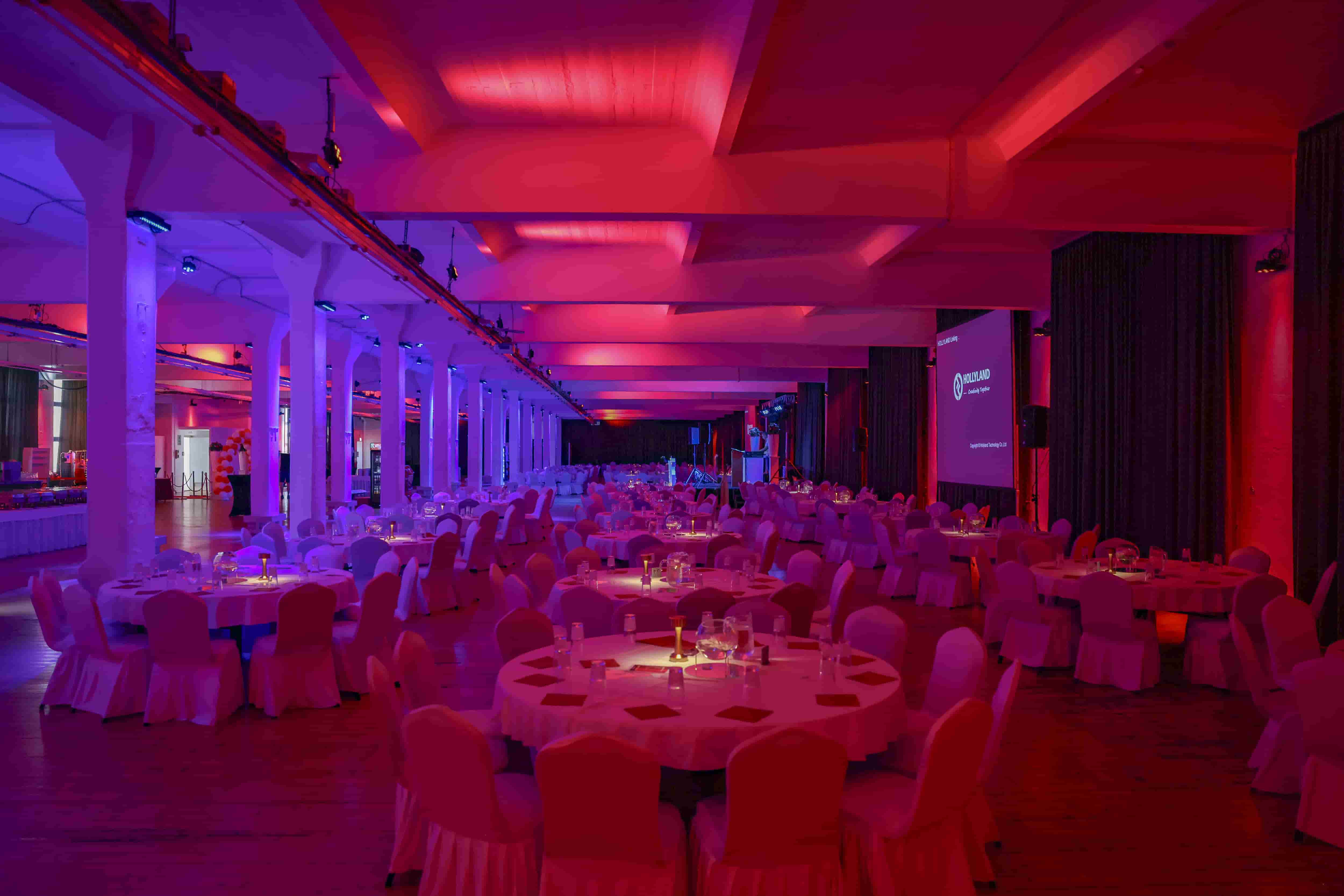 Loewe Saal